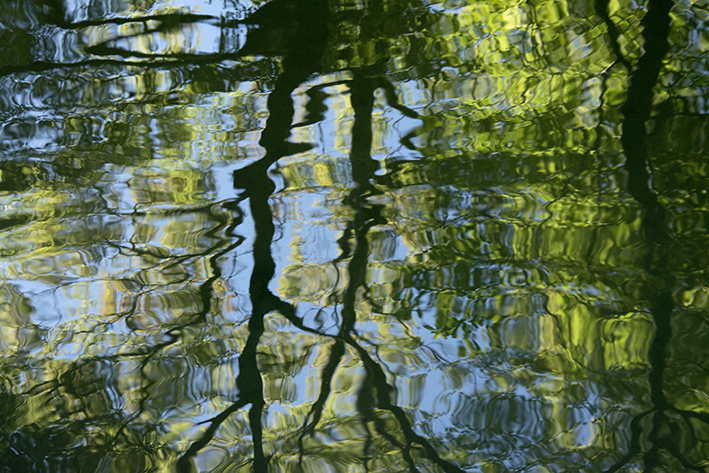 Experiences in a Remote Place